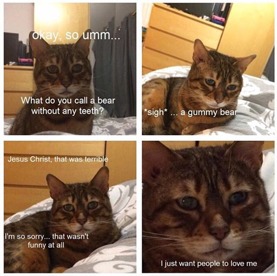Saddest Cat In The World Tells A Joke