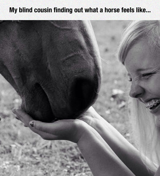 blind-girl-feeling-horse