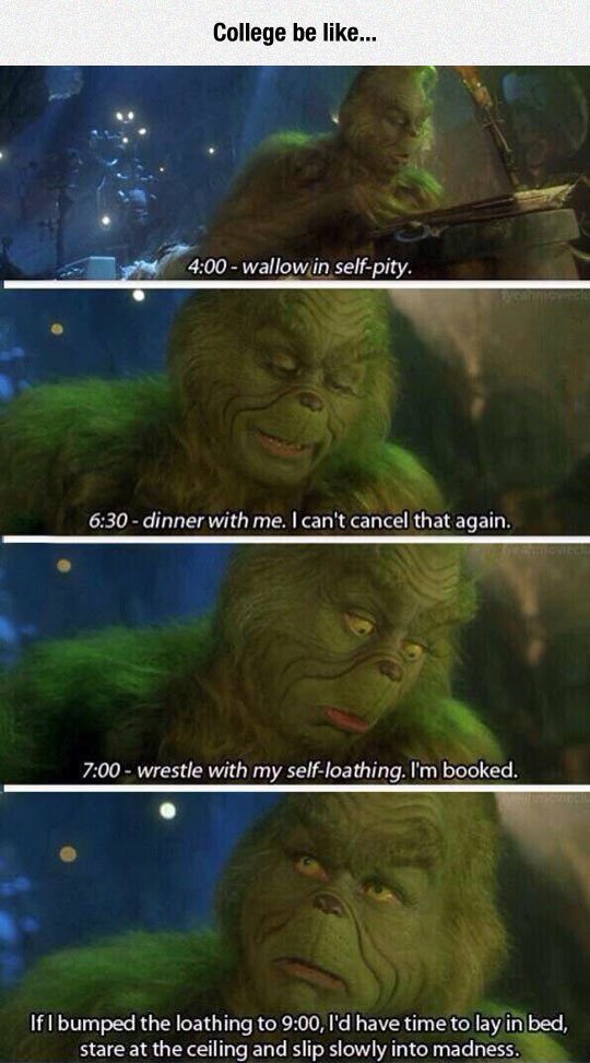 cool-Grinch-schedule-appointment
