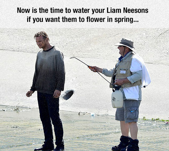 cool-Liam-Neeson-scene-watering-man