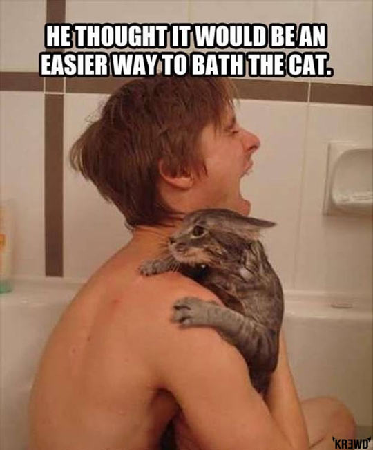 cool-bath-cat-with-owner-nails