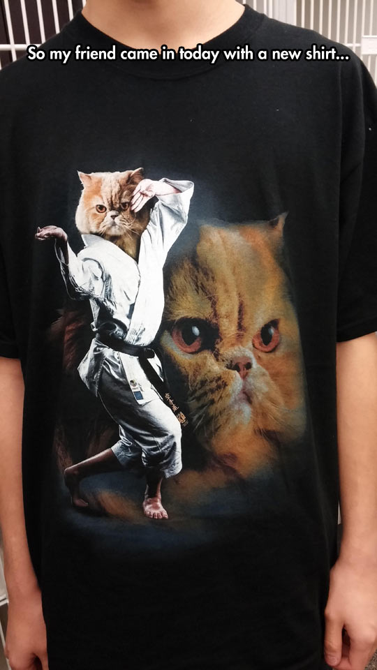 weird cat shirt