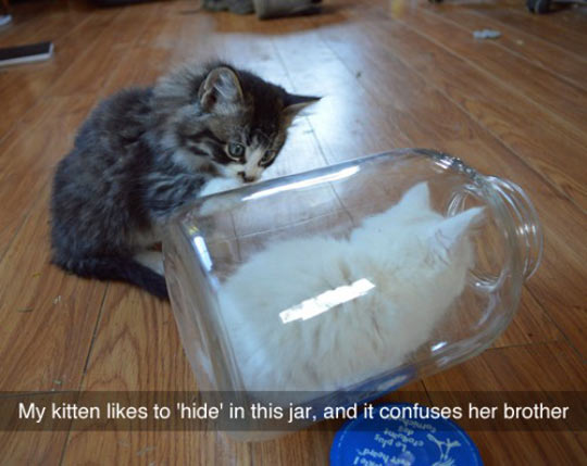 Hidden In The Jar