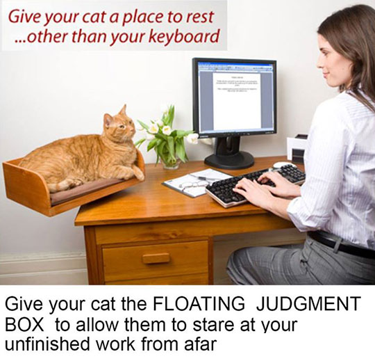 The Floating Judgment Box
