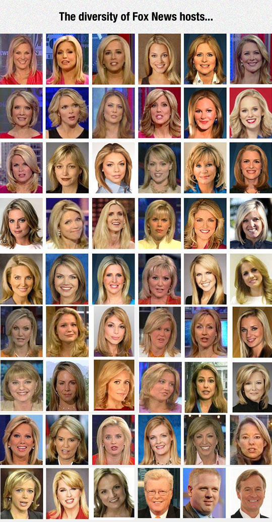 cool-diversity-Fox-News-hosts