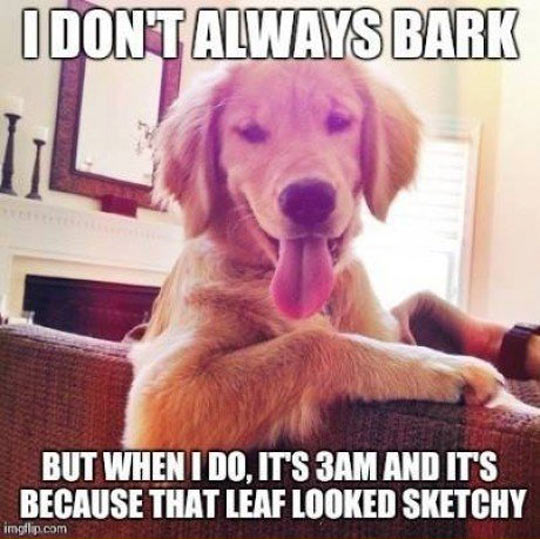 Barking Dog Logic