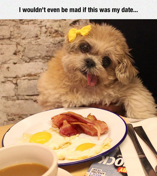 Bacon And Eggs Is The Perfect Date