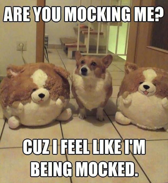 cool-dog-stuffed-toys-similar