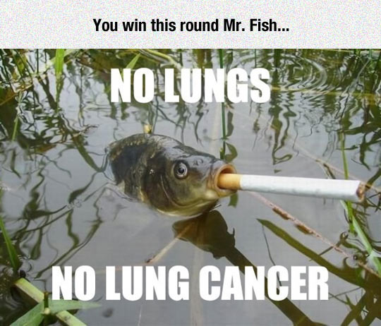 No Lungs