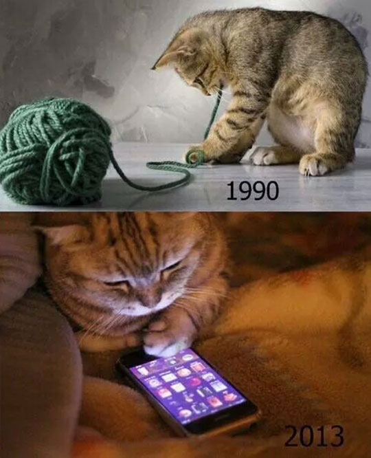 90s Cats Will Understand