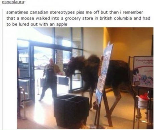 cool-moose-grocery-store-British-Columbia