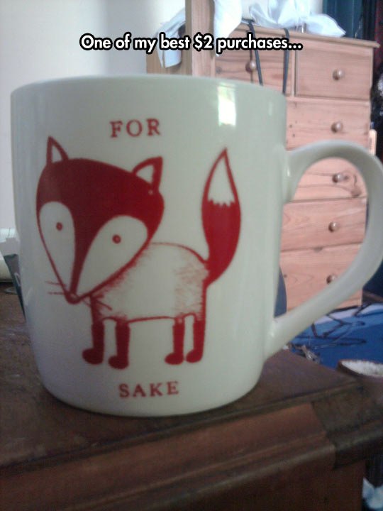 cool-mug-fox-drawing-cheap-pun