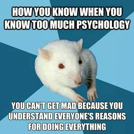 cool-psychology-rat-mad-reasons