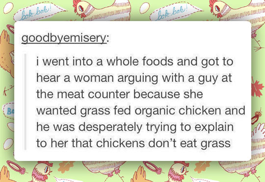 cool-restaurant-girl-chicken-fed-grass