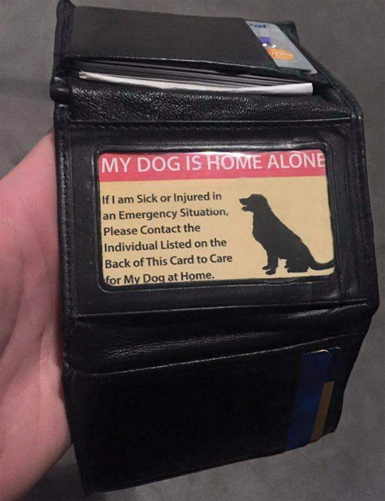 Some Dog Owners Are Prepared