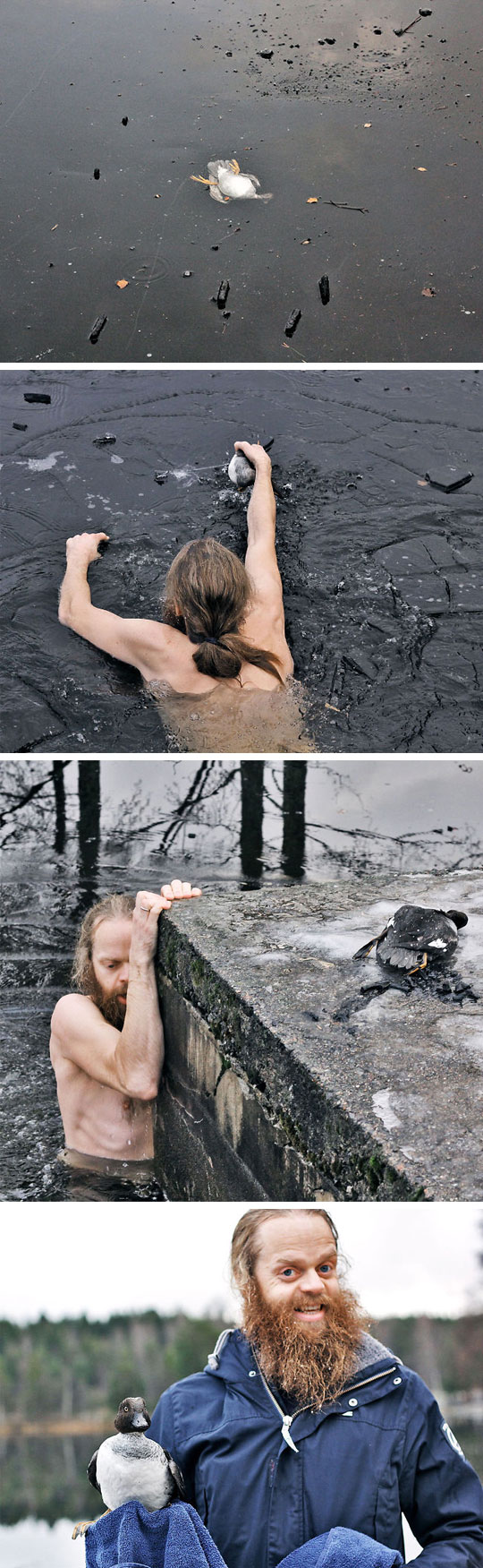 duck-trapped-ice-saved