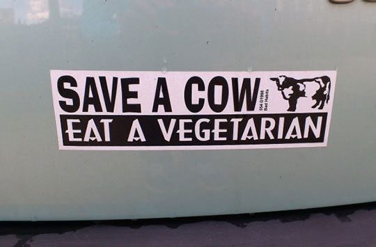Best Bumper Sticker Out There