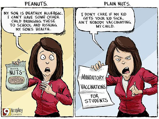 Peanuts And Plain Nuts
