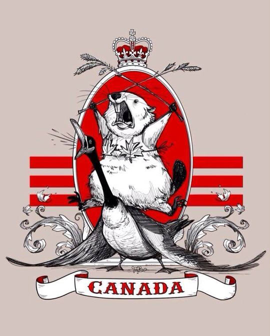 The New Canadian Flag Should Have This