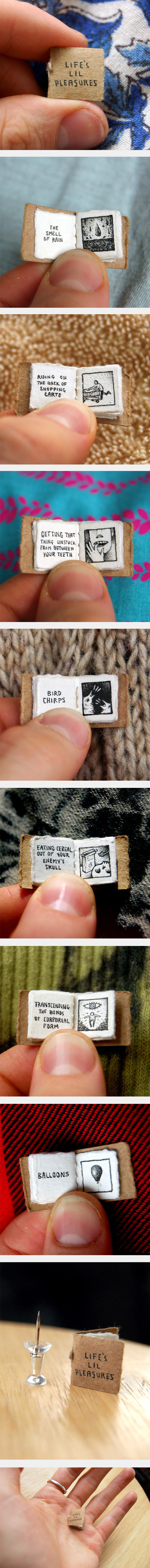 cool-Life-Lil-Pleasures-tiny-book