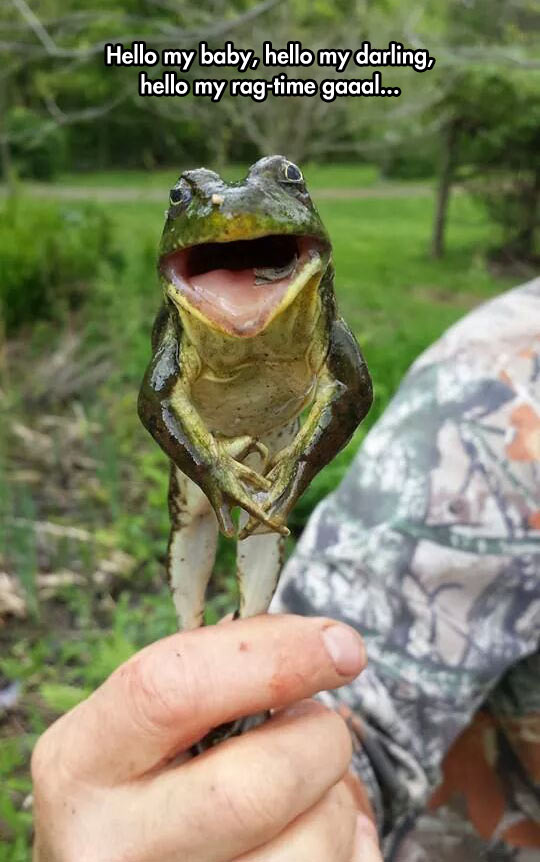 Real Michigan J. Frog