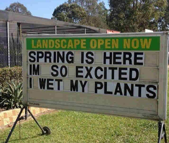 So Now That Spring Is Here