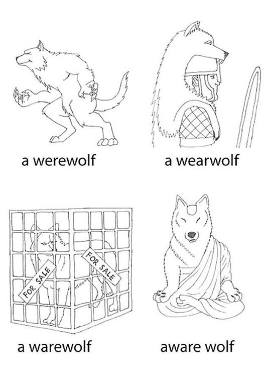 Learn Your Type Of Wolf