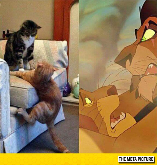 Scar And Mufasa In Real Life