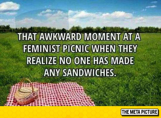 Picnic Disappointment