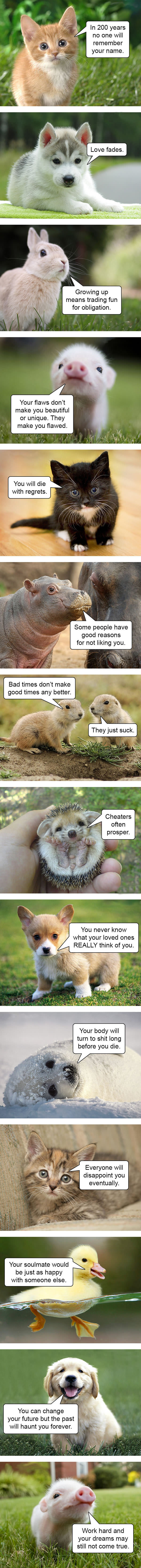 Hard Truths From Baby Animals