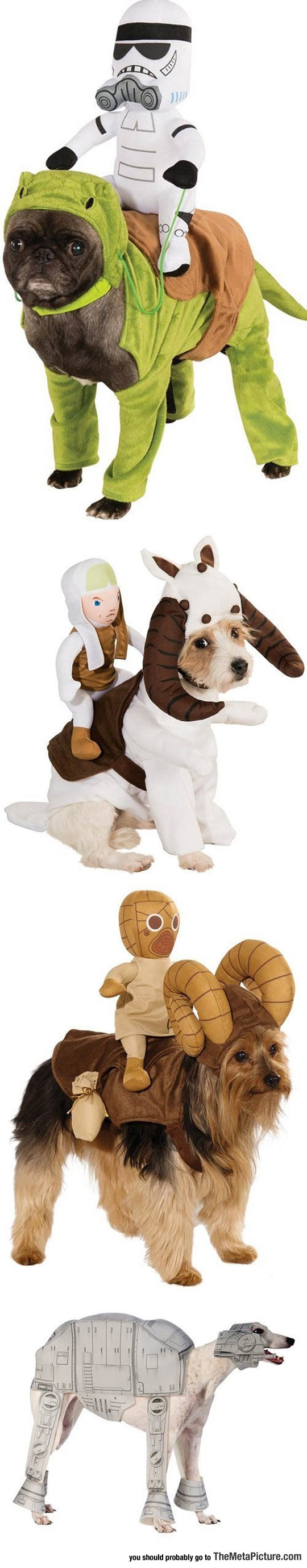 cool-Star-Wars-costumes-dogs