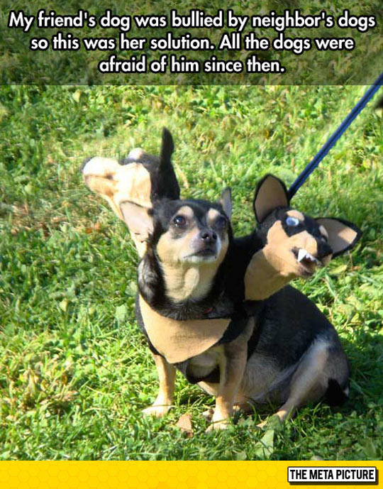 cool-dog-bullied-costume-solution-three-heads