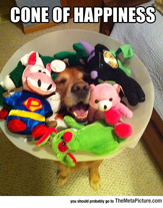 The Cone That Makes It All Better