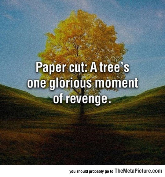 Truth About Paper Cuts