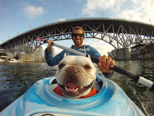 Kayaking dog