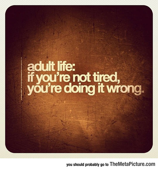 Truth About Adult Life