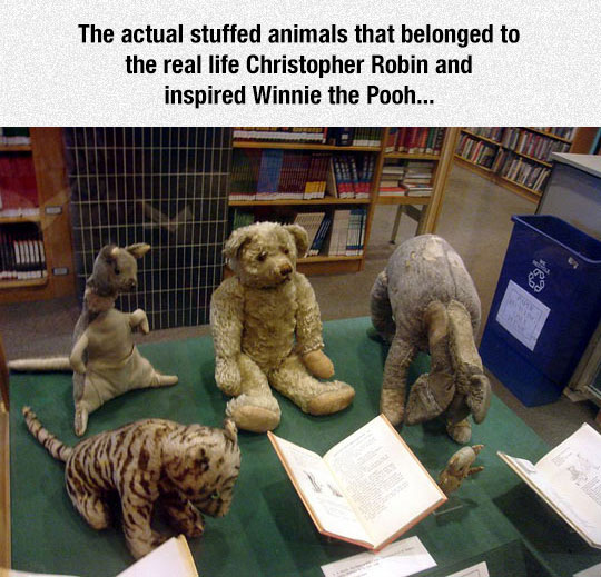 Winnie The Pooh Inspiration