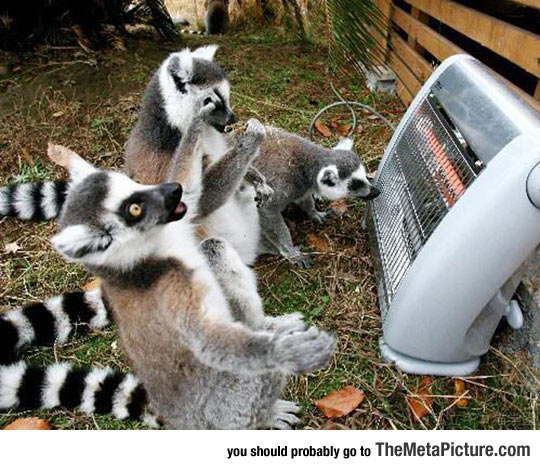 Oh, Praise Be To The Heater Gods