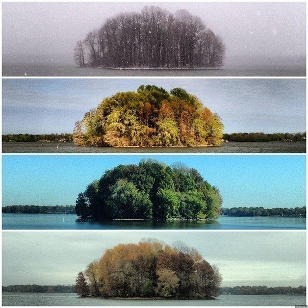 Seasons