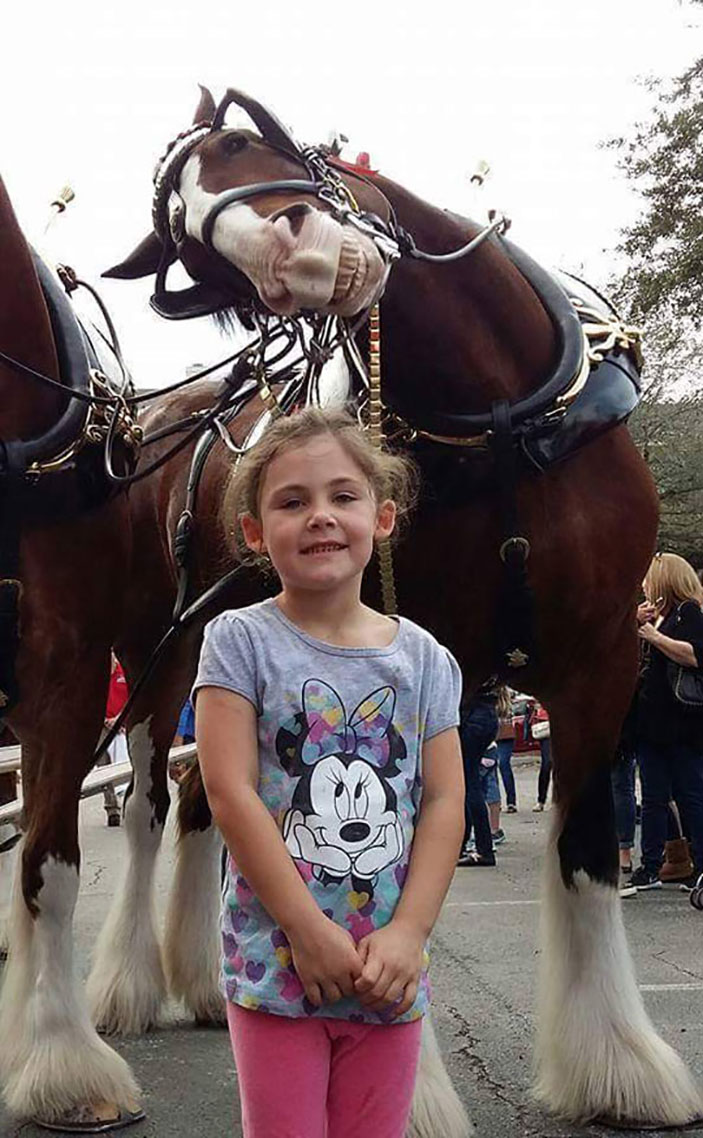 When A Horse Photobombs You
