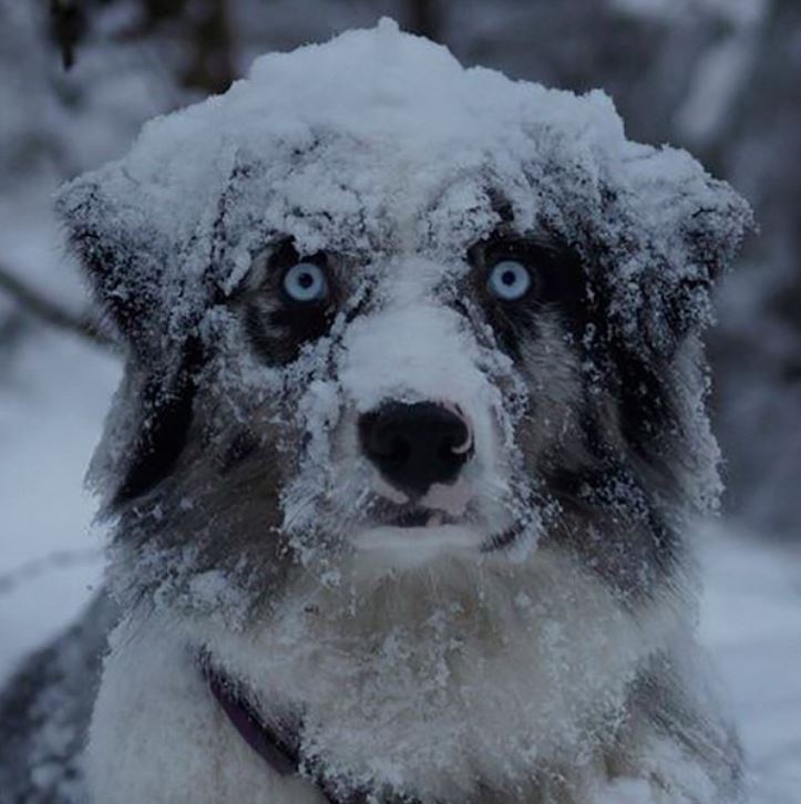 Winter is coming