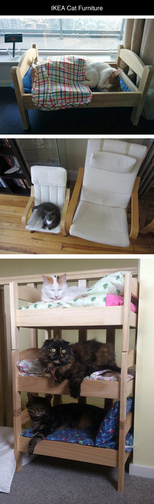 Kitty Furniture