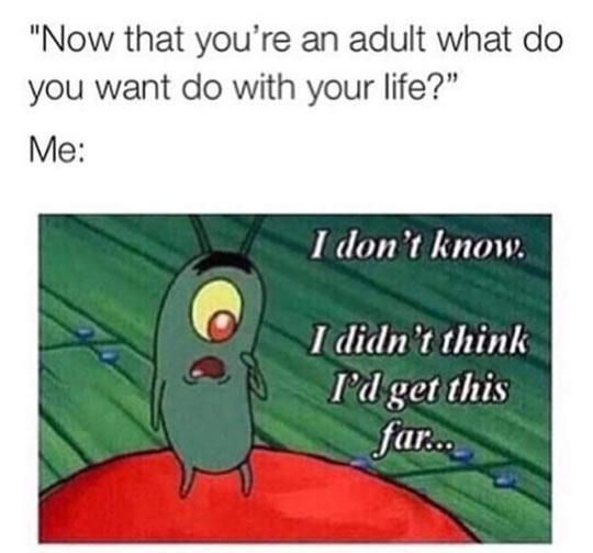 funny-Spongebob-didnt-think-get-this-far