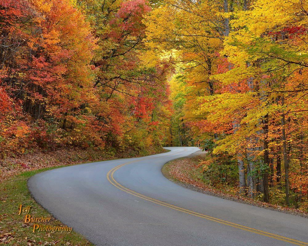 Fall Color On The Blue Ridge Parkway in Western North Carolina.