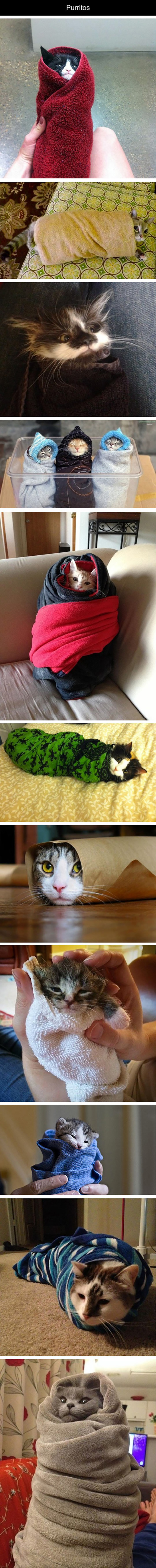 They’re The Best Kind Of Burritos