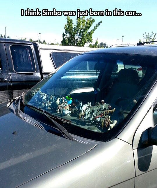 cool-animal-toys-car-Lion-King