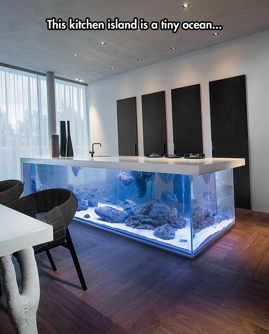 Aquarium In The Kitchen
