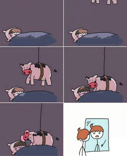 cool-bed-sleeping-cow-mirror-comic