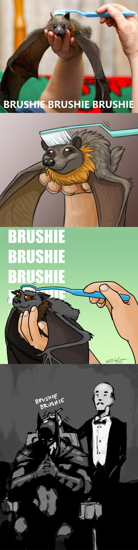 Brushing A Bat