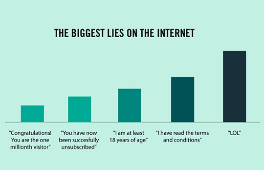 Biggest Lies On The Internet